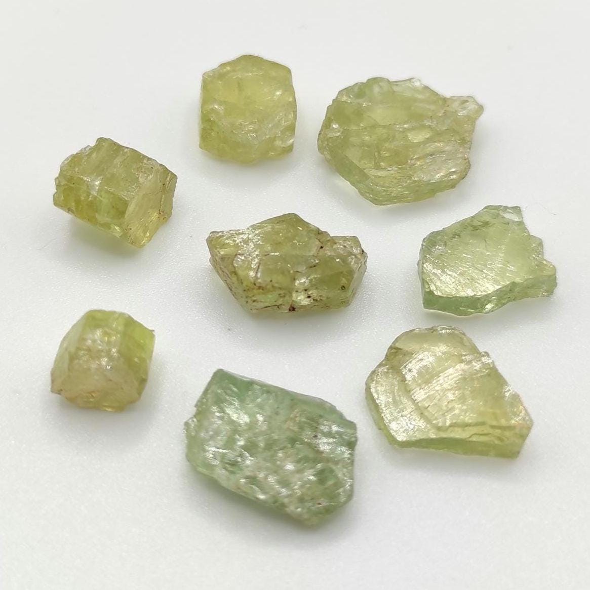 9g (8pc) Green Apatite Lot from Tory Hill, Ontario, Canada - Green Fluoroapatite Crystals - Raw Apatite Minerals - Rough Apatite Gemstones