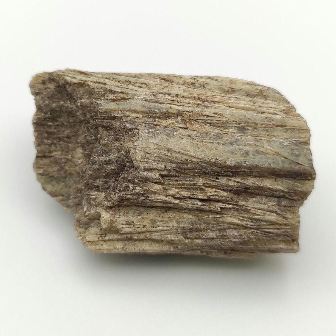 26g Diopside Crystals from Orford Nickel Mine - St-Denis-de-Brompton, Quebec, Canada - Natural Diopside - "Wood Crystal"