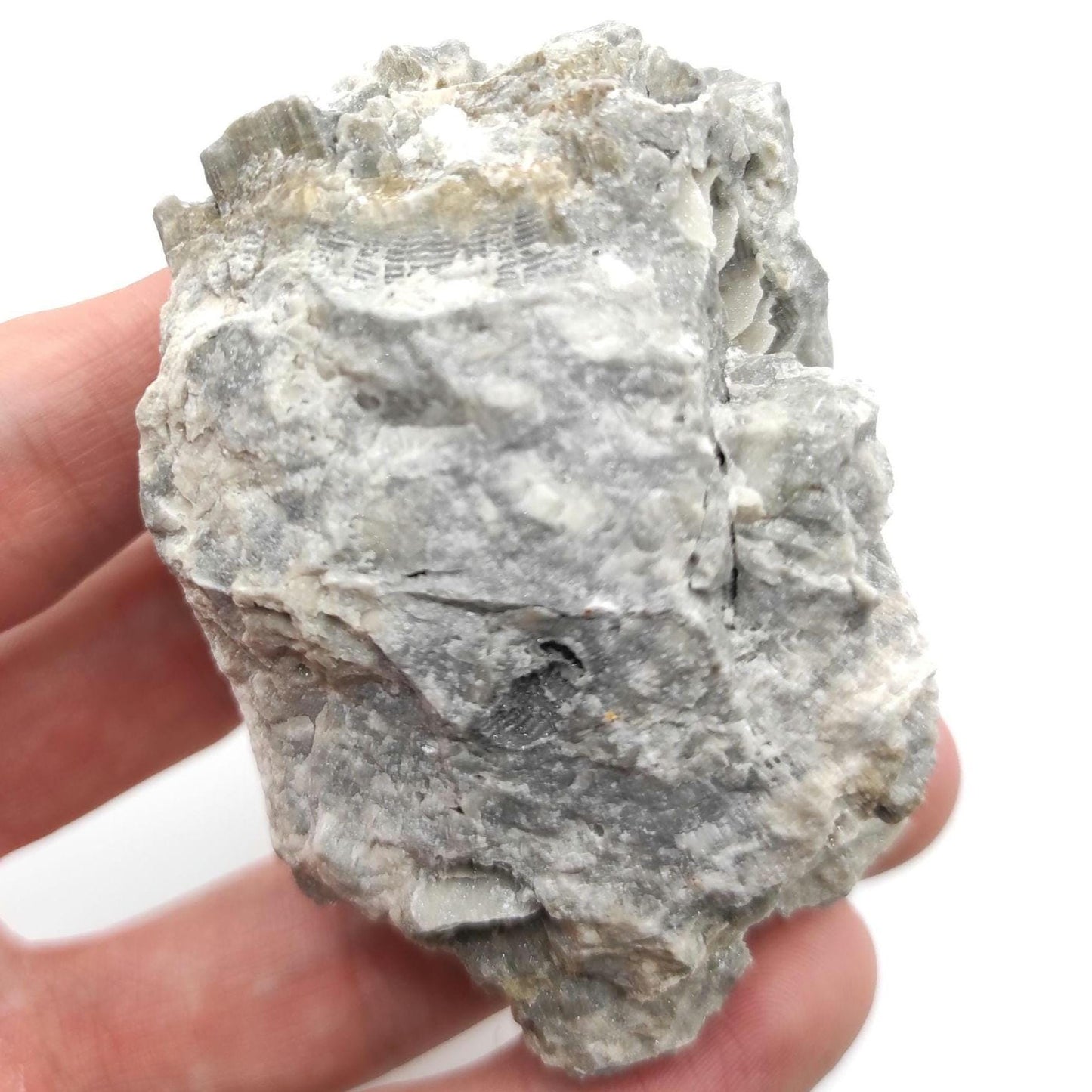 156g Fossilized Druzy Coral - Clay Center, Ohio - Fossil Coral Pieced from United States - Natural Fossil Specimen - Natural Druzy Coated