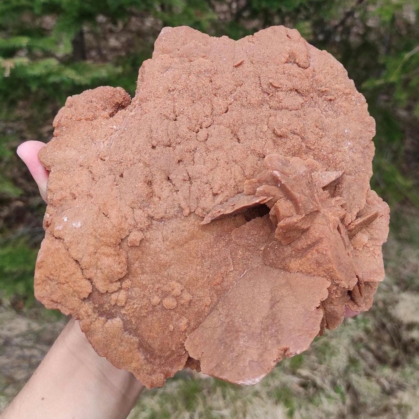 1.40kg XL Desert Rose Gypsum Crystal - Sahara Desert, Morocco - Natural Desert Rose Minerals Specimen - Large Crystal Statement Pieces