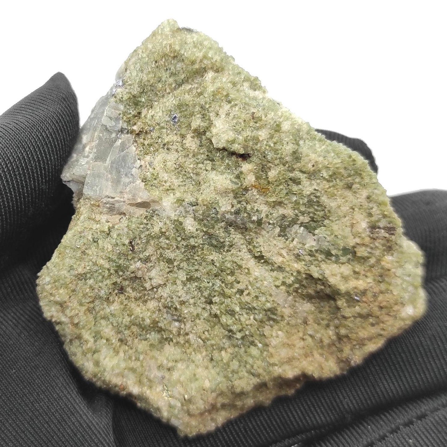 126g Molybdenite Mineral in Matrix - Natural Molybdenite Crystal - Wilberforce, Ontario, Canada - Raw Mineral Specimen - Canadian Minerals
