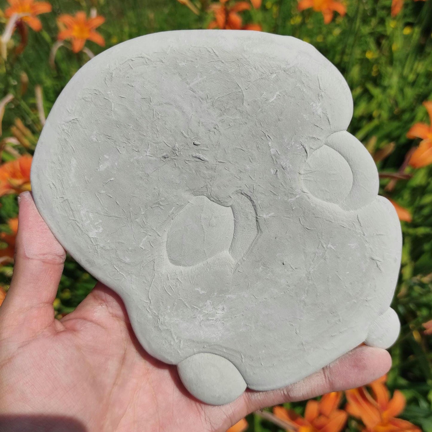 547g Fairy Stone from Harricana River, Quebec, Canada - Natural Concretionary Nodules - River Stones - Unique Formation Pierre de Feés