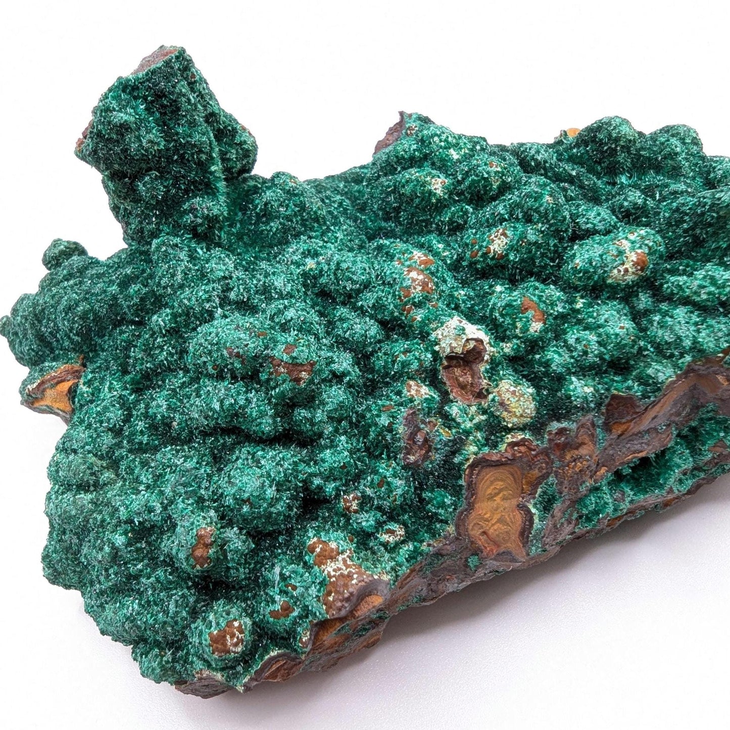 463g Fibrous Malachite Specimen - Fine Minerals - Mfouati, Republic of Congo - Unique Malachite Crystals on Matrix Statement Piece