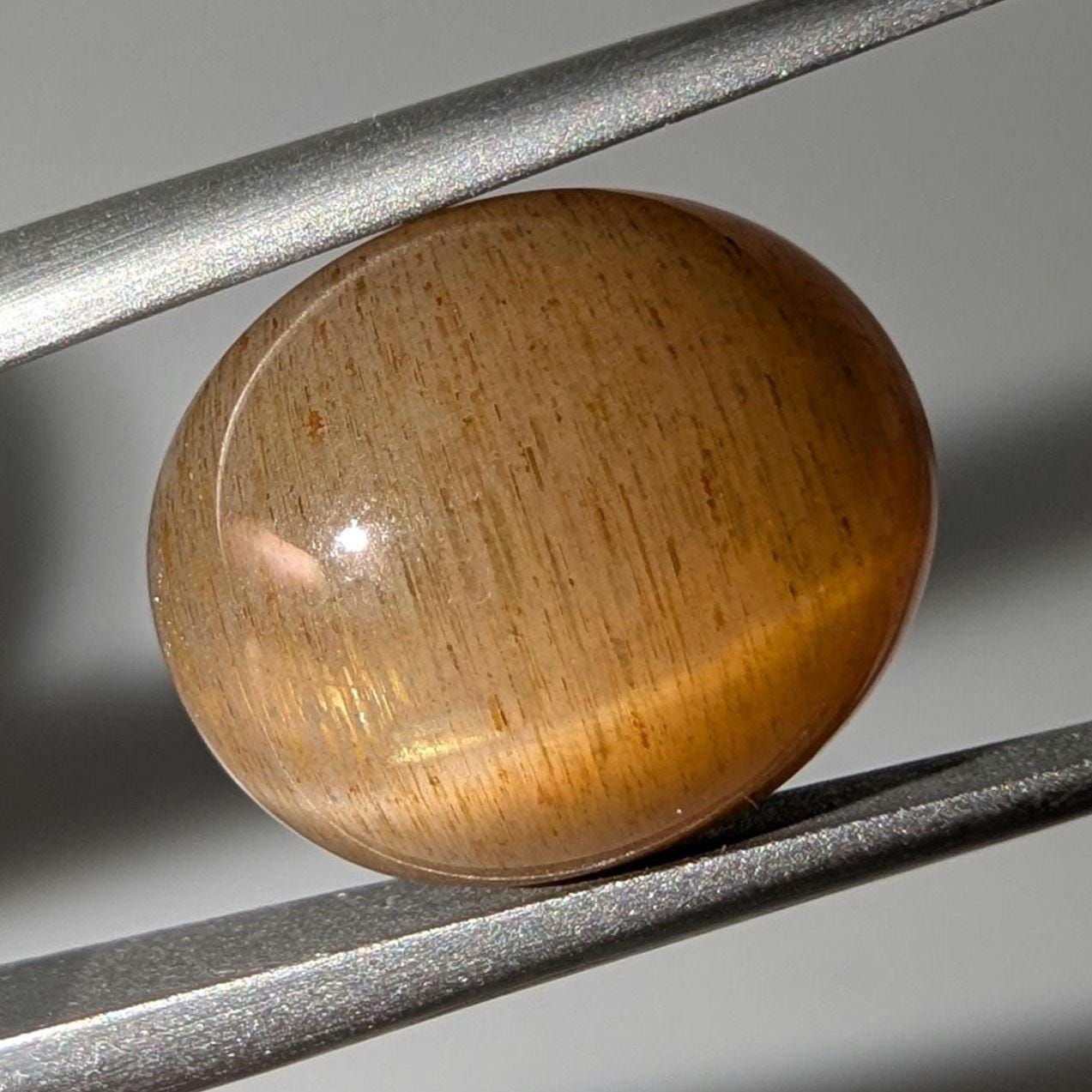 7.72 ct Cat's Eye Apatite - Honey Cat's Eye Cabochon - Natural Untreated Gemstone - Chatoyant Cat's Eye Gemstone - Minas Gerais, Brazil