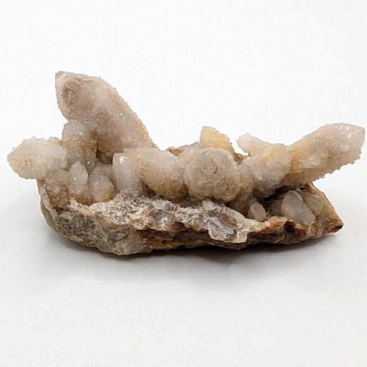 113g Spirit Quartz Cluster - Mpumalanga, South Africa - Natural Cactus Quartz Specimen - Spirit Quartz Crystals