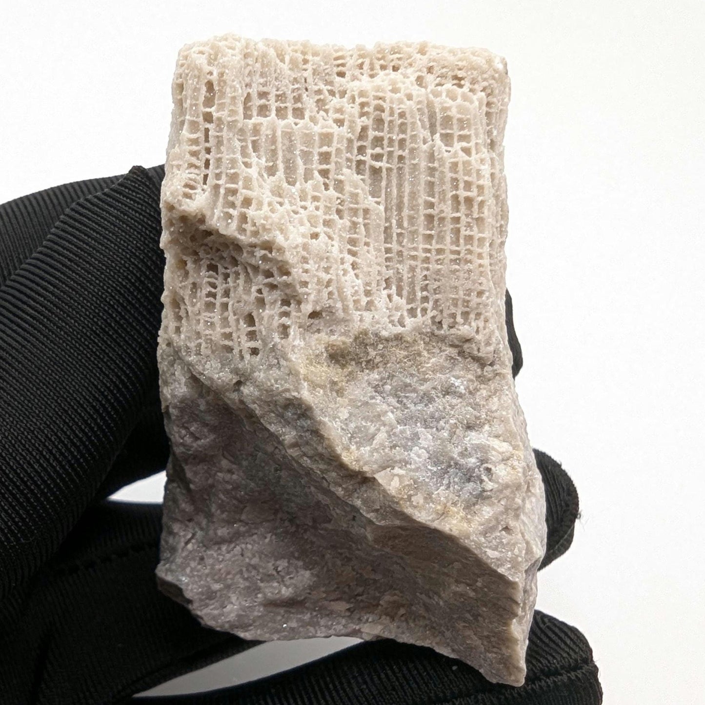 128g Fossilized Druzy Coral - Clay Center, Ohio - Fossil Coral Pieced from United States - Natural Fossil Specimen - Natural Druzy Coated