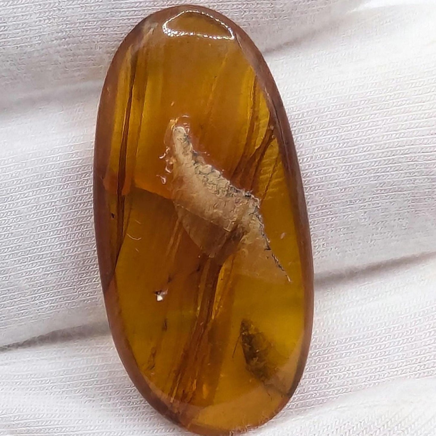 10.26ct Amber with Complete Insect - Polished Amber from Burma - Cretaceous Period Amber Organic Gems - Natural Amber Burmite Specimen