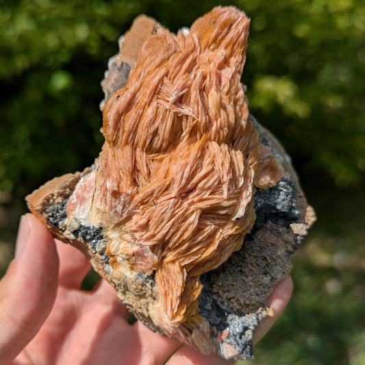520g Orange Barite on Galena Matrix - Mibladen, Morocco - Natural Mineral Specimens - Raw Barite Blades on Matrix - Rough Minerals