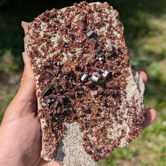 782 g Crystallized Vanadinite on Matrix - Mibladen, Morocco - Handpicked at Mine - Natural Sparkling Red Vanadinite Mineral Specimen