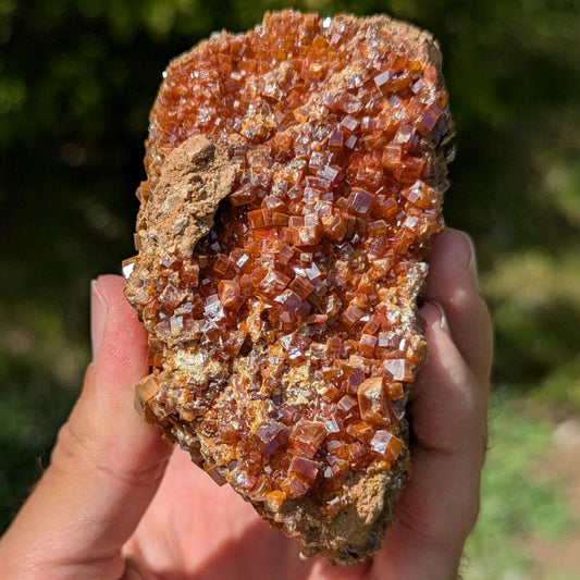 593g Crystallized Vanadinite on Matrix - Mibladen, Morocco - Handpicked at Mine - Natural Sparkling Red Vanadinite Mineral Specimen