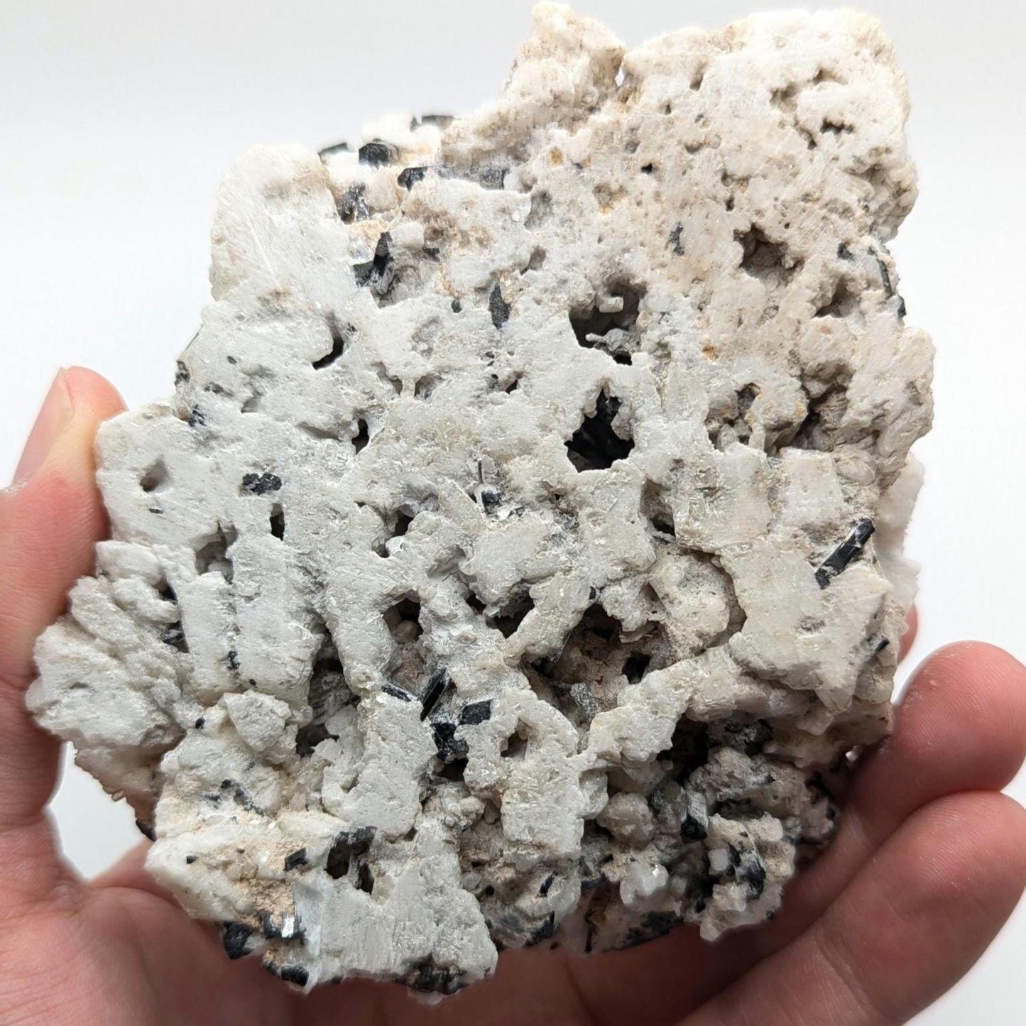 480 g Black Tourmaline Crystals in Calcite - Skardu, Pakistan - Natural Mineral Specimen - Calcite covered with Black Tourmaline