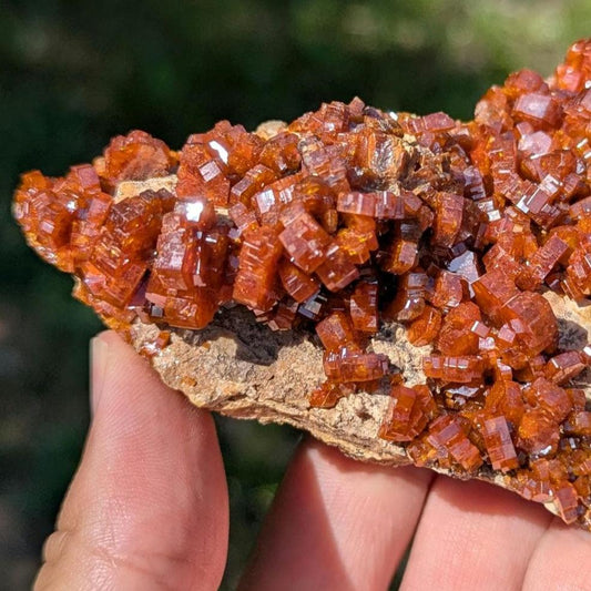 370 g Crystallized Vanadinite Crystals - Fine Mineral Specimen - Mibladen, Morocco - Handpicked at Mine - Natural Sparkling Red Vanadinite