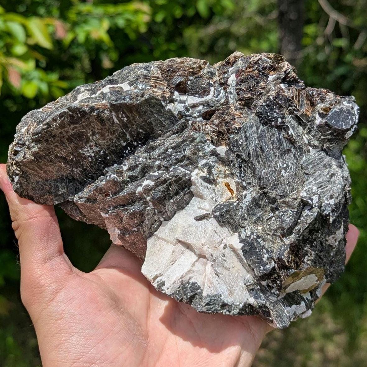 2.43kg Fluororichterite & Calcite - George Earle Farm, Wilberforce, Ontario - Rare Canadian Amphibole Mineral Specimen