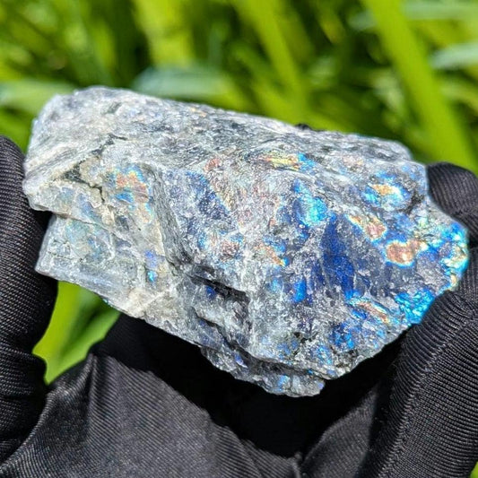 181g Blue Flash Canadian Labradorite - Tabor Island, Nain, Labrador, Canada - Rough Specimen - The Original Labradorite