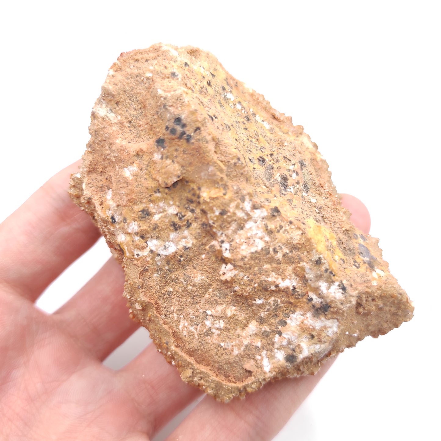 235g Vanadinite on Matrix