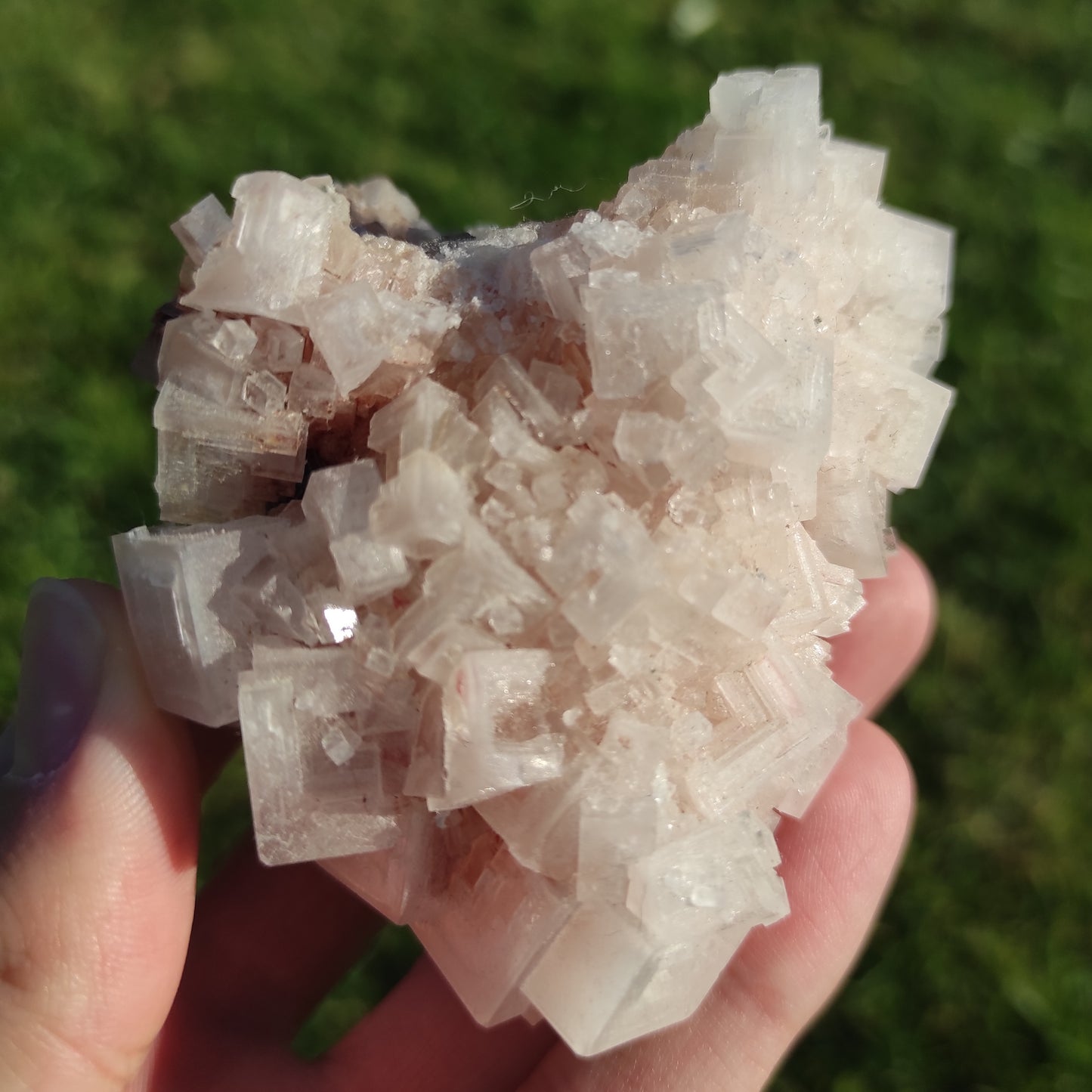143g Pink Halite Salt from California