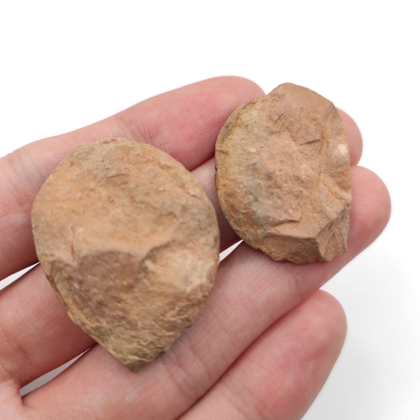 18g Ammonite Fossil Pair