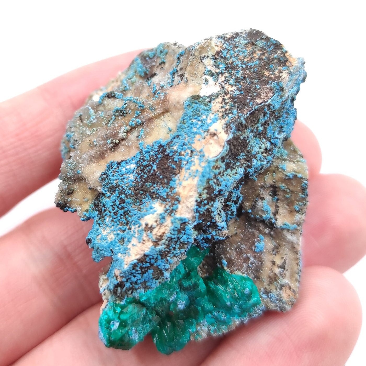 30g Dioptase in Chrysocolla from Sanda, Mindouli, Congo | Vibrant Mineral Specimen