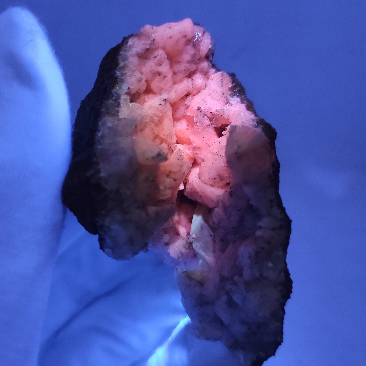 58g UV Reactive Calcite - Phosphorescent Calcite Specimen - Cambridge Cove, Nova Scotia, Canada - UV Minerals - Minerals with Afterglow