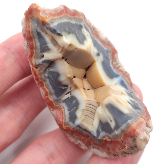 67g Patagonia Agate - Polished Agate Geode from Patagonia, Argentina - Natural Agate Specimen - Neuquén, Argentina - Hand Polished Geode