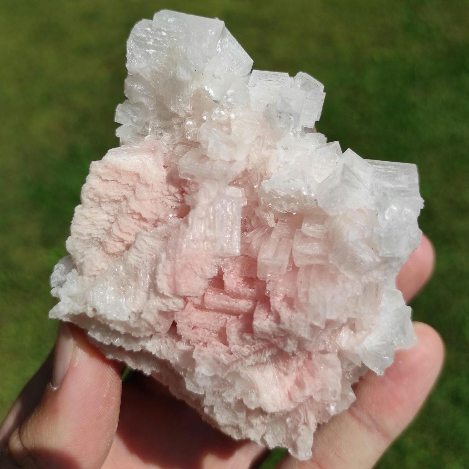 183g Light Pink Halite Crystal - Searles Lake, California - Natural Halite Salt Crystal - Raw Halite - Halite Specimen Piece