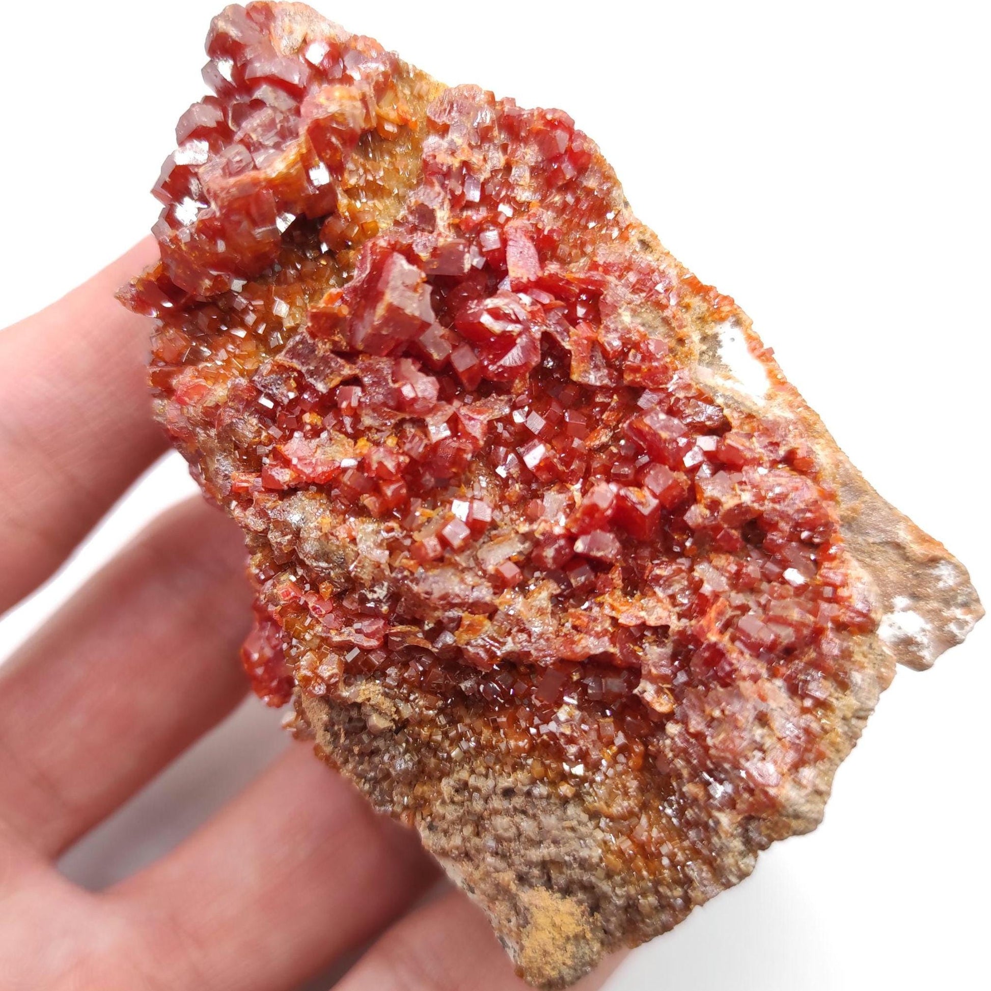 209g Vanadinite on Matrix - Red Vanadinite Crystals - High Quality Vanadinite - Collectors Grade Mineral Specimen - Mibladen, Morocco