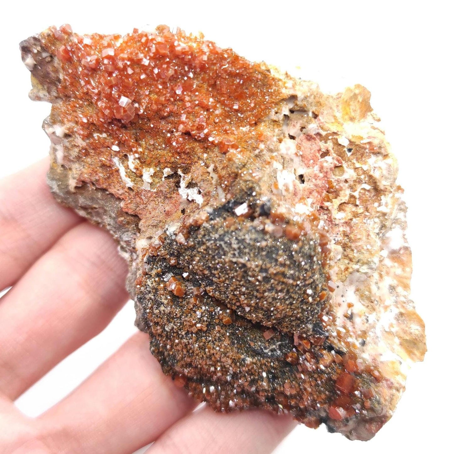 194g Vanadinite on Matrix - Mibladen, Morocco - Red Vanadinite Crystals - High Quality Vanadinite - Mineral Specimen - Natural Crystal