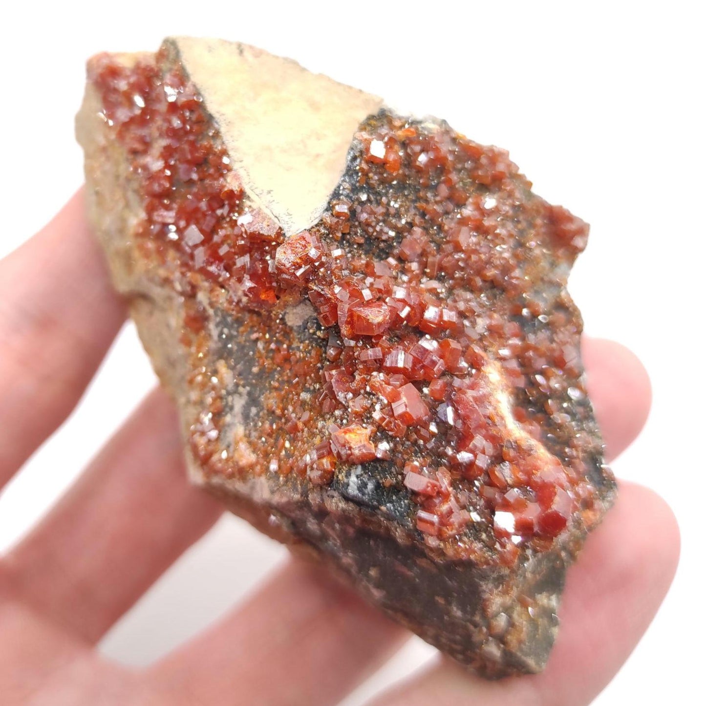 186g Vanadinite on Matrix - Mibladen, Morocco - Red Vanadinite Crystals - High Quality Vanadinite - Mineral Specimen - Natural Crystal