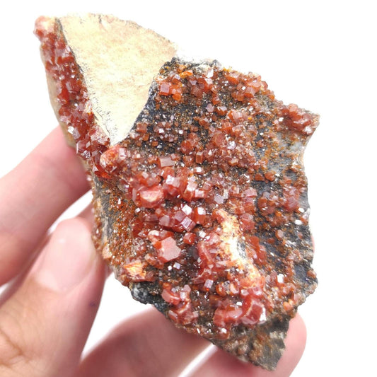 186g Vanadinite on Matrix - Mibladen, Morocco - Red Vanadinite Crystals - High Quality Vanadinite - Mineral Specimen - Natural Crystal