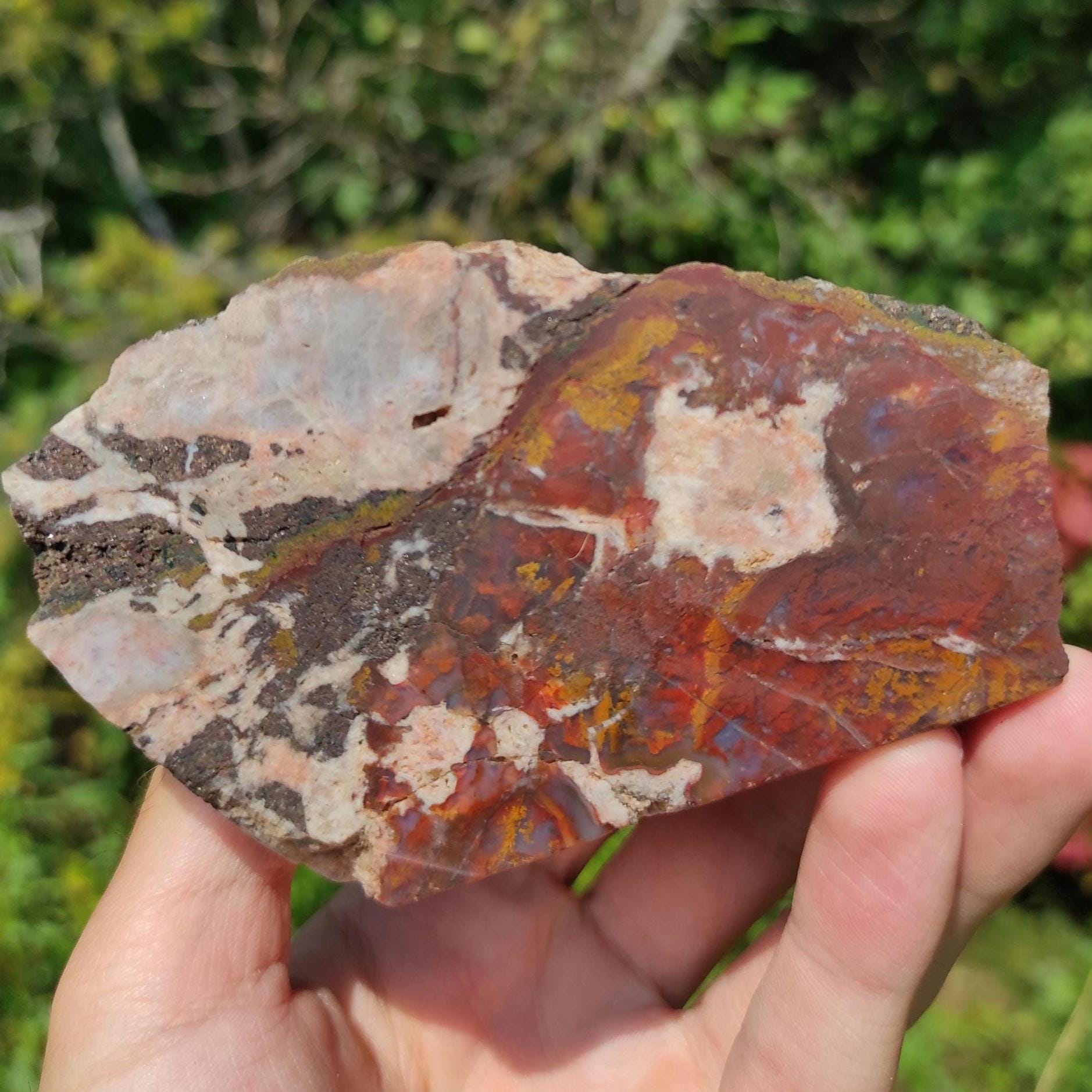 561g Bay of Fundy Agate - Polished Agate Piece from Parrsboro, Minas Basin, Nova Scotia, Canada - Canadian Agate - Raw & Polished Agate