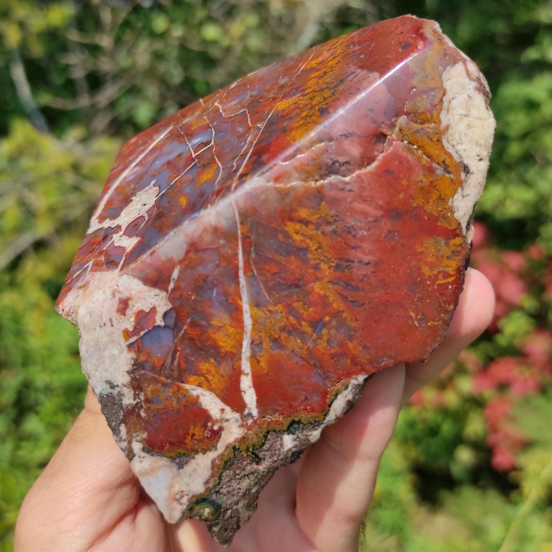 561g Bay of Fundy Agate - Polished Agate Piece from Parrsboro, Minas Basin, Nova Scotia, Canada - Canadian Agate - Raw & Polished Agate