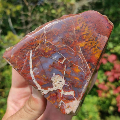 561g Bay of Fundy Agate - Polished Agate Piece from Parrsboro, Minas Basin, Nova Scotia, Canada - Canadian Agate - Raw & Polished Agate