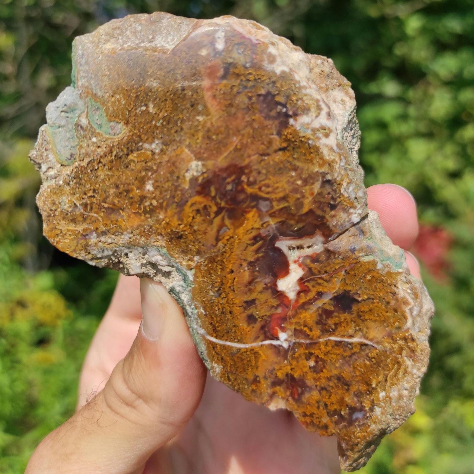 222g Bay of Fundy Agate - Polished Agate Piece from Parrsboro, Minas Basin, Nova Scotia, Canada - Canadian Agate - Raw & Polished Agate