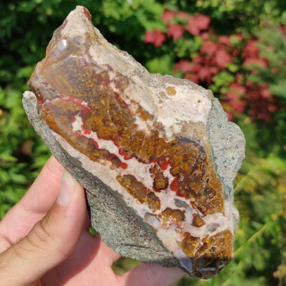 424g Bay of Fundy Agate - Polished Agate Piece from Parrsboro, Minas Basin, Nova Scotia, Canada - Canadian Agate - Raw & Polished Agate