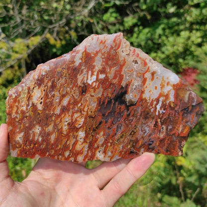 354g Bay of Fundy Agate - Polished Agate Piece from Parrsboro, Minas Basin, Nova Scotia, Canada - Canadian Agate - Raw & Polished Agate