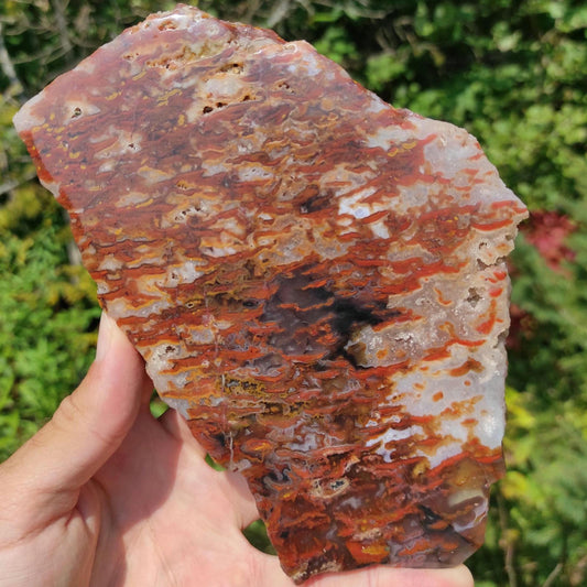 354g Bay of Fundy Agate - Polished Agate Piece from Parrsboro, Minas Basin, Nova Scotia, Canada - Canadian Agate - Raw & Polished Agate