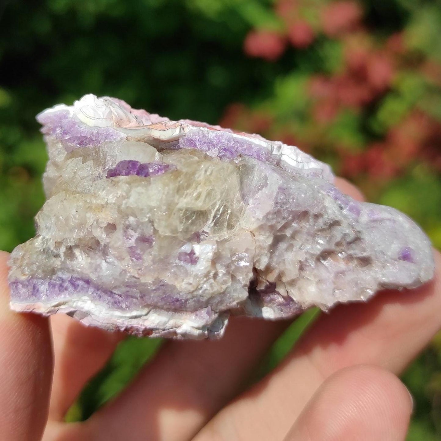 70g Bay of Fundy Amethyst - Natural Purple Amethyst Crystal from Minas Basin, Nova Scotia, Canada - Canadian Amethyst - Natural Minerals