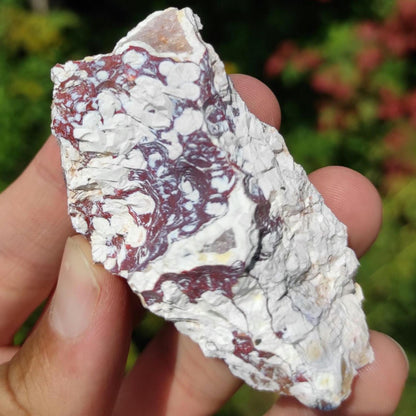 45g Bay of Fundy Amethyst - Natural Purple Amethyst Crystal from Minas Basin, Nova Scotia, Canada - Canadian Amethyst - Natural Minerals