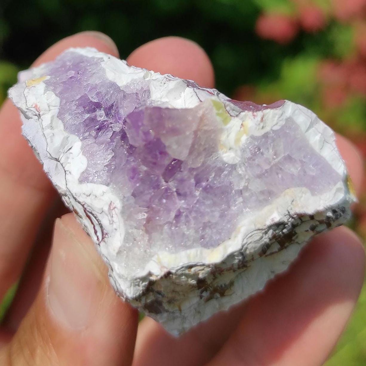 71g Bay of Fundy Amethyst - Natural Purple Amethyst Crystal from Minas Basin, Nova Scotia, Canada - Canadian Amethyst - Natural Minerals