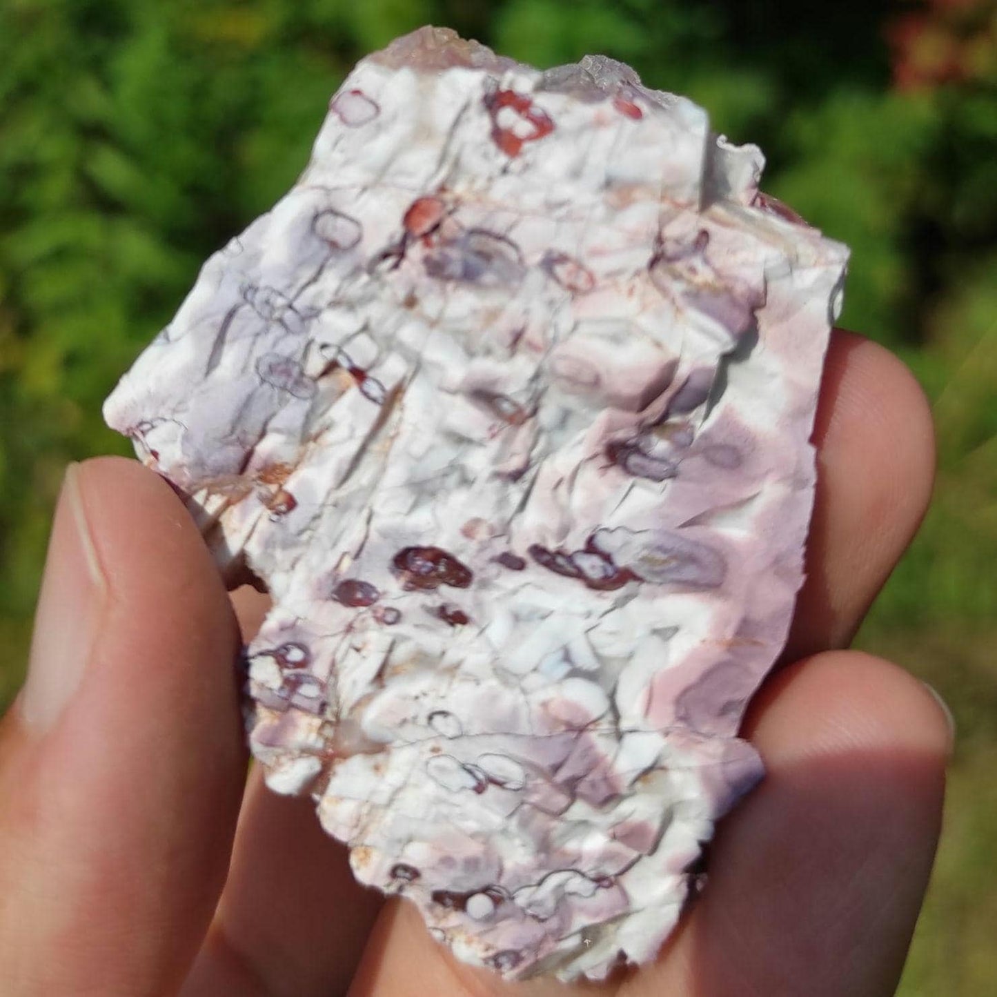 53g Bay of Fundy Amethyst - Natural Purple Amethyst Crystal from Minas Basin, Nova Scotia, Canada - Canadian Amethyst - Natural Minerals