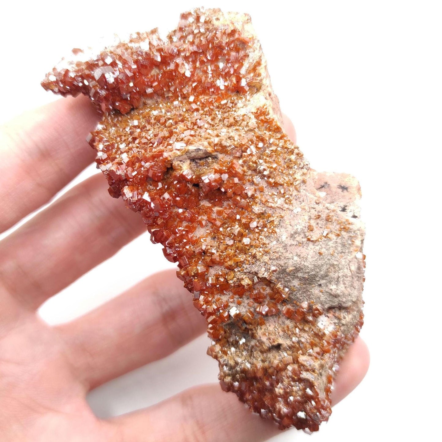 150g Vanadinite on Matrix - Mibladen, Morocco - Red Vanadinite Crystals - High Quality Vanadinite - Mineral Specimen - Natural Crystal