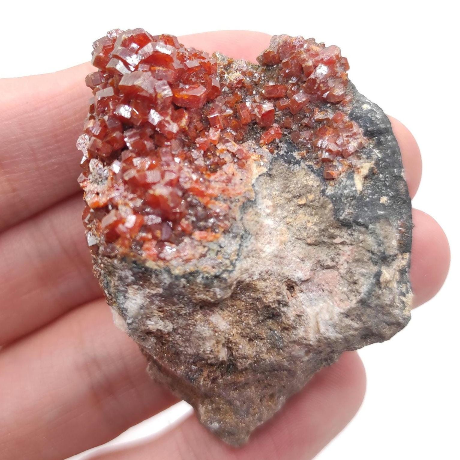 45g Vanadinite on Matrix - Mibladen, Morocco - Red Vanadinite Crystals - High Quality Vanadinite - Mineral Specimen - Natural Crystal