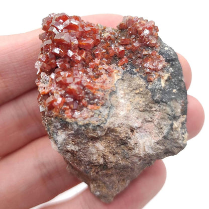 45g Vanadinite on Matrix - Mibladen, Morocco - Red Vanadinite Crystals - High Quality Vanadinite - Mineral Specimen - Natural Crystal