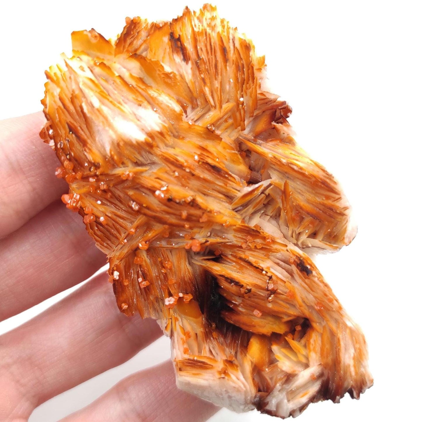 138g Orange Barite with Vanadinite - Mibladen, Morocco - Red Vanadinite Crystal - High Quality Vanadinite Mineral Specimen - Natural Crystal