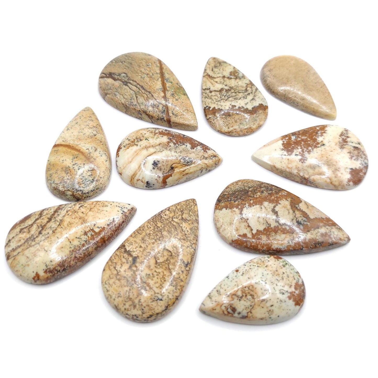 310ct Wood Jasper Cabochons Lot