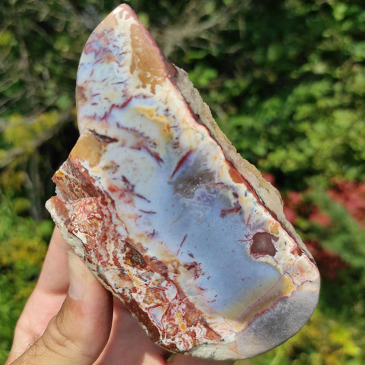 292g Bay of Fundy Agate - Polished Agate Piece from Parrsboro, Minas Basin, Nova Scotia, Canada - Canadian Agate - Raw & Polished Agate