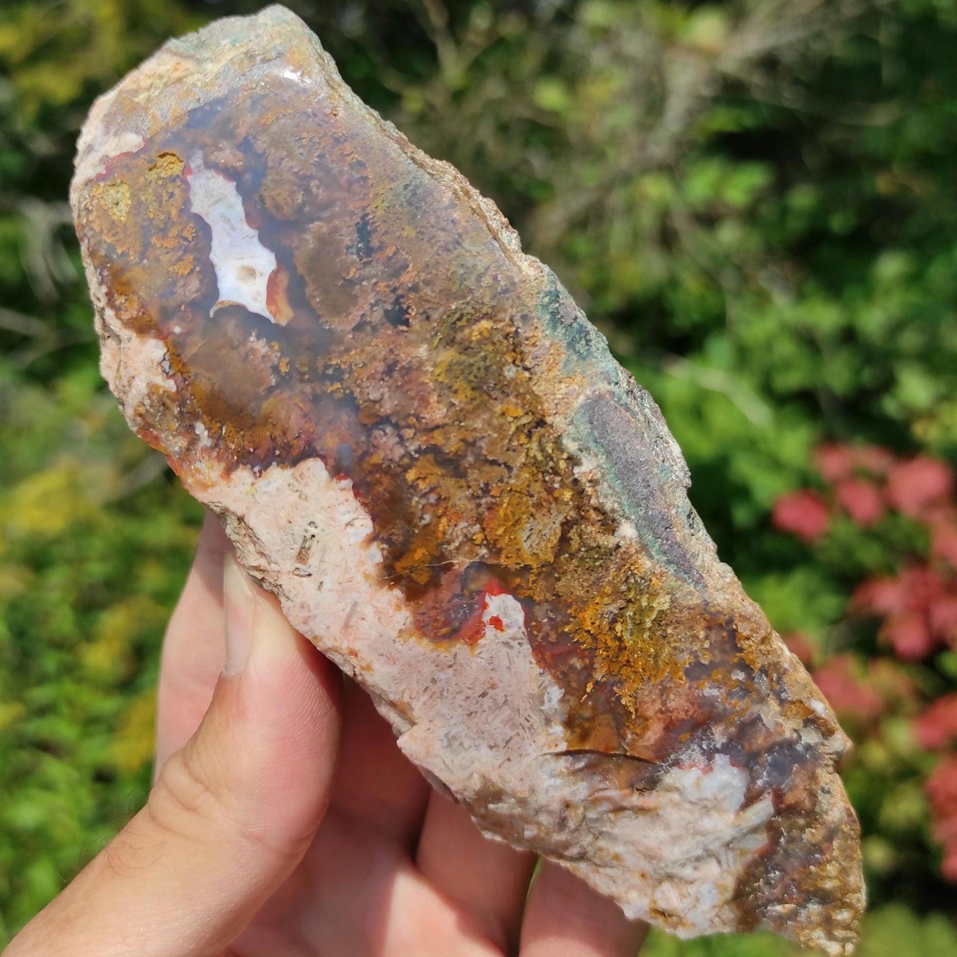 221g Bay of Fundy Agate - Polished Agate Piece from Parrsboro, Minas Basin, Nova Scotia, Canada - Canadian Agate - Raw & Polished Agate