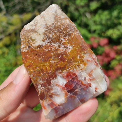 98g Bay of Fundy Agate - Polished Agate Piece from Parrsboro, Minas Basin, Nova Scotia, Canada - Canadian Agate - Raw & Polished Agate