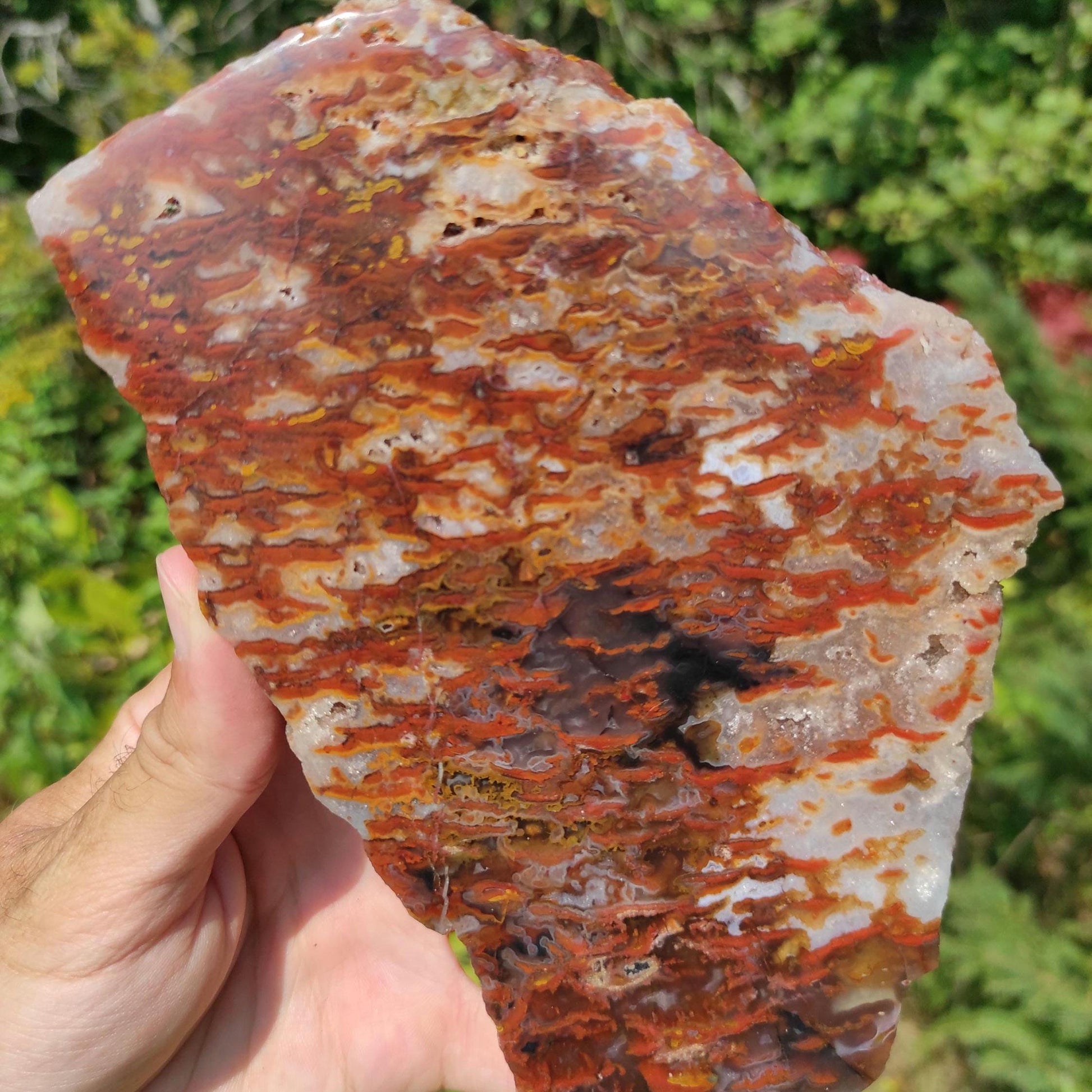 354g Bay of Fundy Agate - Polished Agate Piece from Parrsboro, Minas Basin, Nova Scotia, Canada - Canadian Agate - Raw & Polished Agate