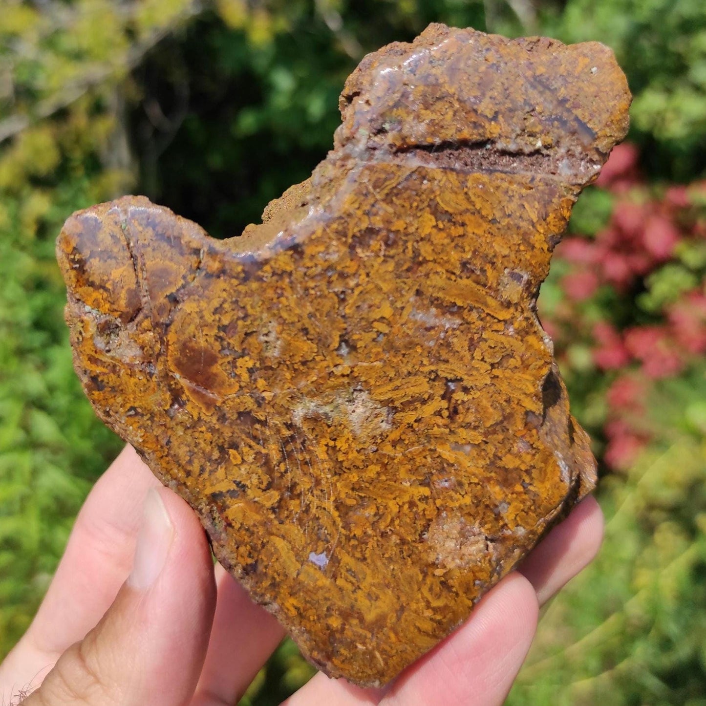 349g Bay of Fundy Agate - Polished Agate Piece from Parrsboro, Minas Basin, Nova Scotia, Canada - Canadian Agate - Raw & Polished Agate